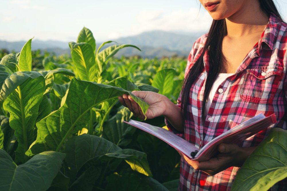 Agronomía y ciencias agrícolas