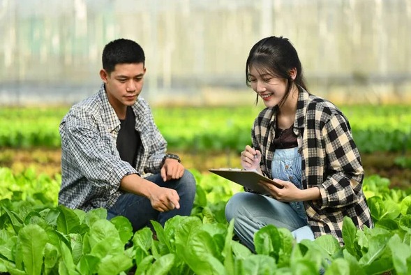 Tecnología-en-gestión-de-insumos-agropecuarios