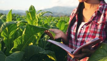 Agronomía y ciencias agrícolas